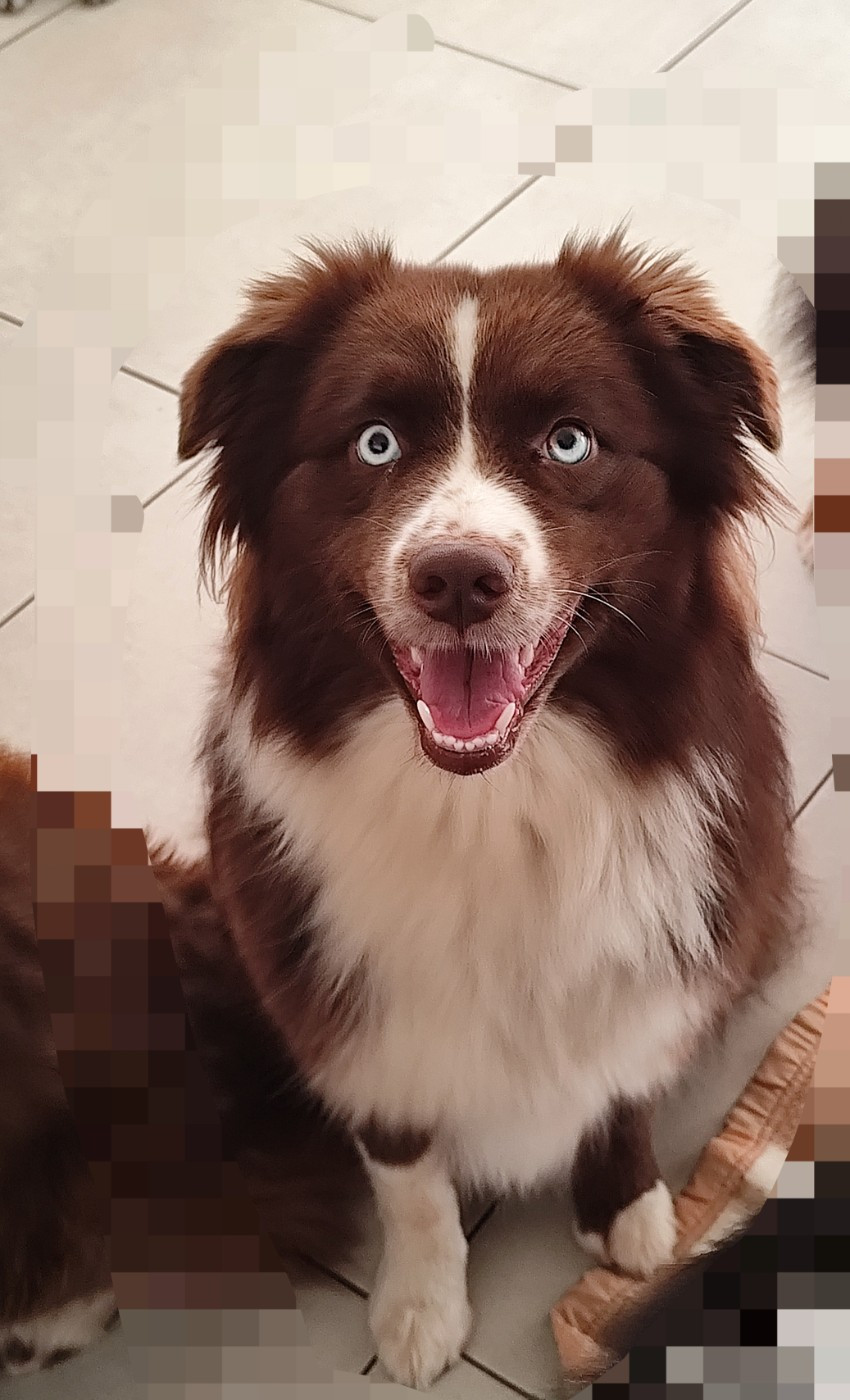 Vibre en harmony De La Terre Des Menhirs