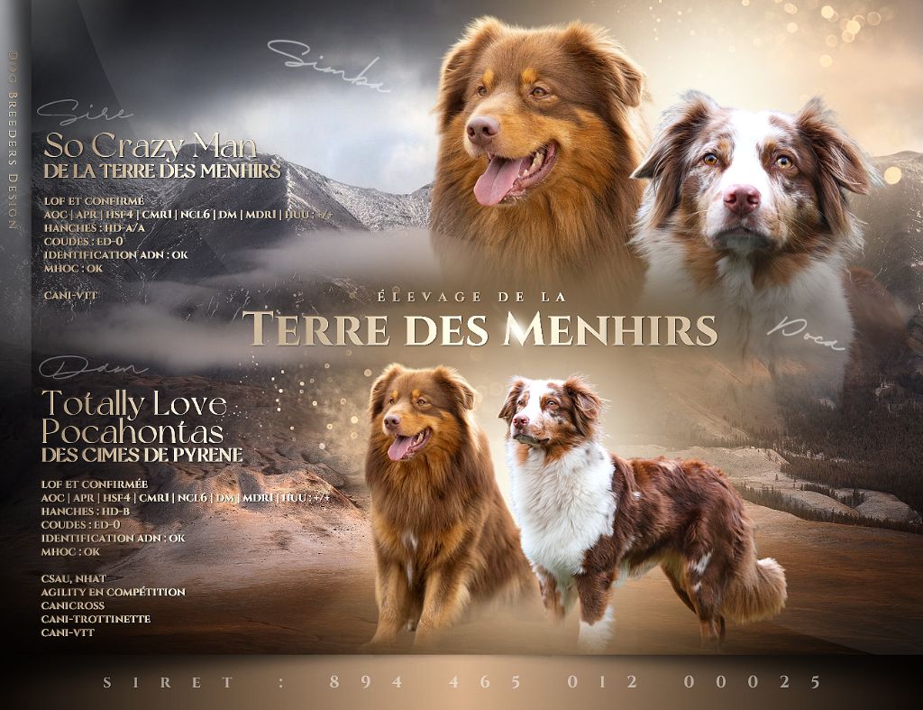 De La Terre Des Menhirs - Chiots prévus pour le 29 Mars 2025